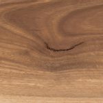 Spotted Gum