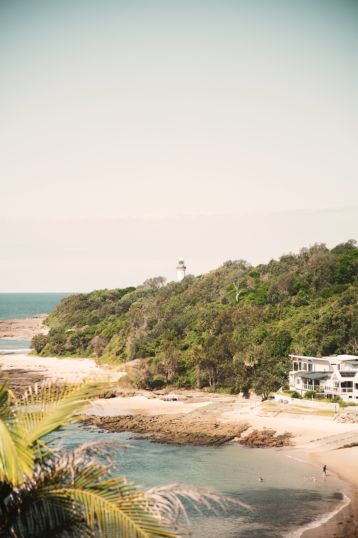 avoca-web-7